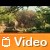 Video Nuovo Volkswagen Amarok consumi ed emissioni record