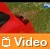 Renault Video: Test Renault Megane Sport dCi
