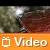 Ford 2012: video prestazioni nuovi motori EcoBoost