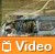 Video promozionale della Dacia Logan MCV