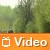 Video: Dacia Sandero Stepway su strada