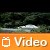 Video: BMW Serie 3 Coupe - presentazione su strada